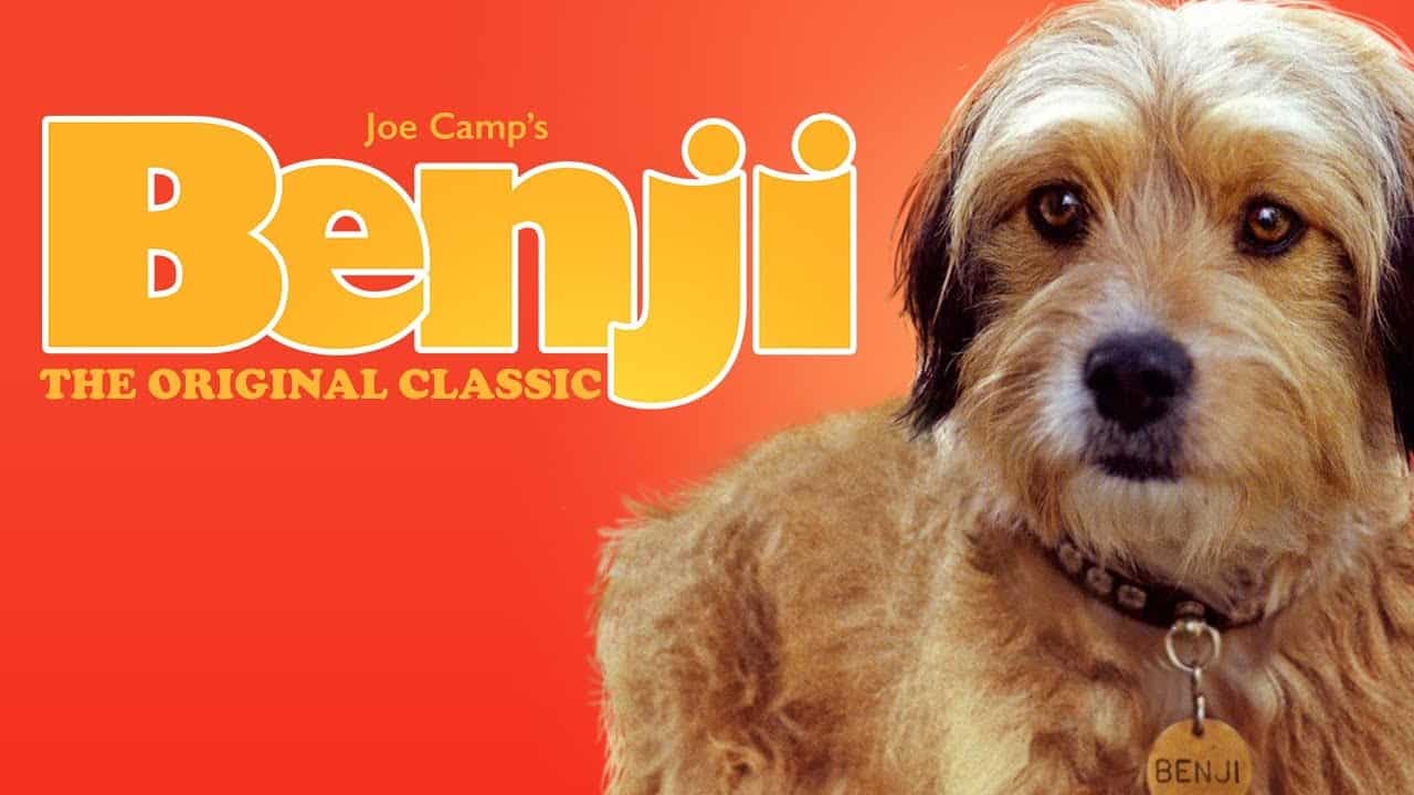 Benji the original classic movie - joe camp